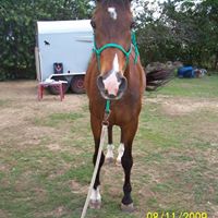 Carole Isaacs Photo 2