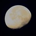 Randall Moon Photo 29