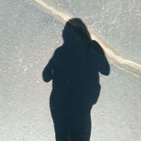 Deborah Courtney Photo 14