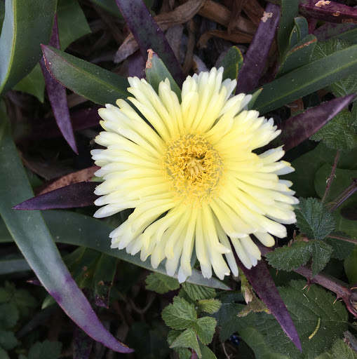 Christine Boehm Photo 12