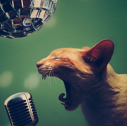 Max Wright Photo 33 Max Wright Photo 33