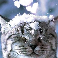 Jessica Gerard Photo 34