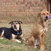 Cindy Conway Photo 36