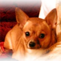 Cheryl Holmes Photo 2