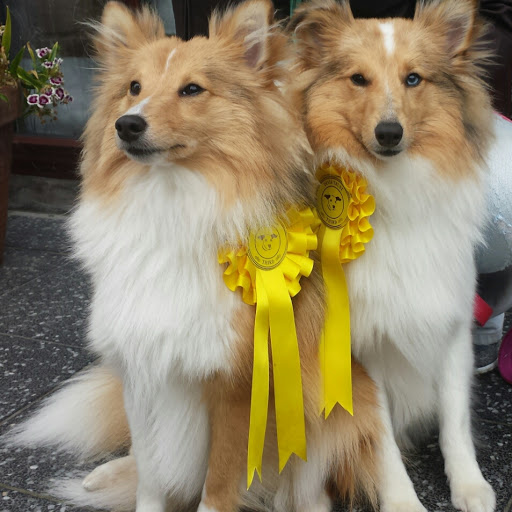 Jackie Greer Photo 35