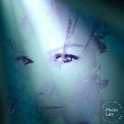 Kristy Ross Photo 39