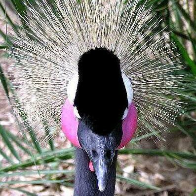 Douglas Christensen Photo 13