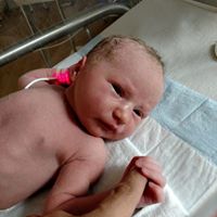 David Redick Photo 11