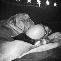 Robert Waller Photo 37 Robert Waller Photo 37