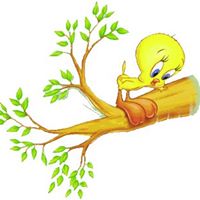 Michele Branch Photo 19