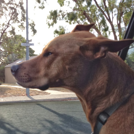 Kim Webster Photo 47