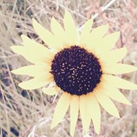 Anna Matheny Photo 6