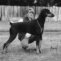 Victoria Chapman Photo 21