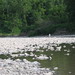 James Letchworth Photo 18