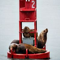 Anna Hunter Photo 16