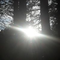 Jason Stoops Photo 11