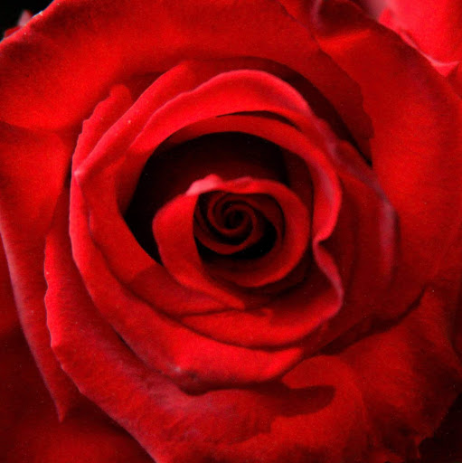 Brittany Hart Photo 22