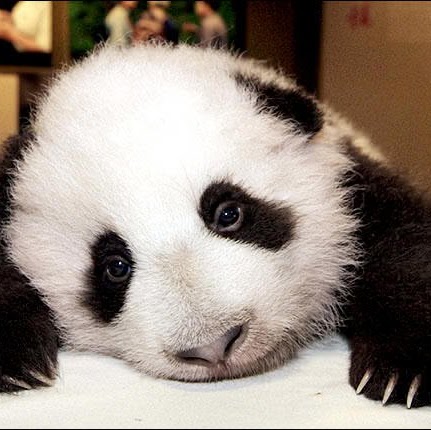 Lynda Walter Photo 15