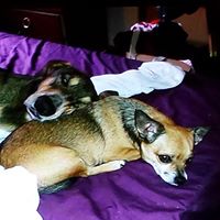 Stephanie Macfarlane Photo 7