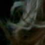 Sandra Bernal Photo 4