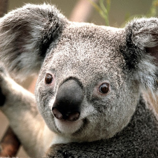 Bradley Skinner Photo 7