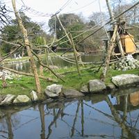 Tracy Colbert Photo 27