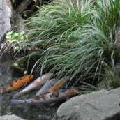 Jenny Calderon Photo 17