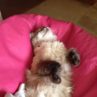 Louise Watson Photo 17