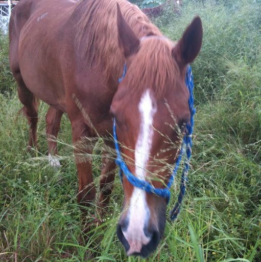 Cindy Oliver Photo 21