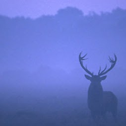 James Radford Photo 9