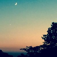 Kathy Ferro Photo 21