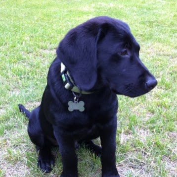 Michelle Cote Photo 18