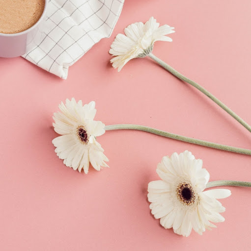 Michelle Choi Photo 39