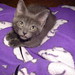 Sadie Gray Photo 17