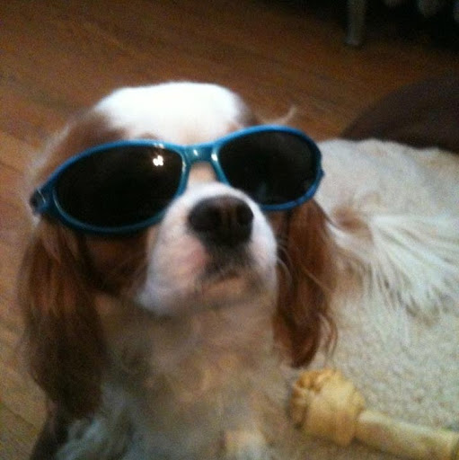 Jennifer Houston Photo 26