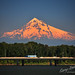 Glenn Hood Photo 17