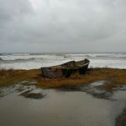 Janice Leblanc Photo 33