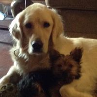 Annette Hammond Photo 20