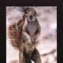Janet Perry Photo 45