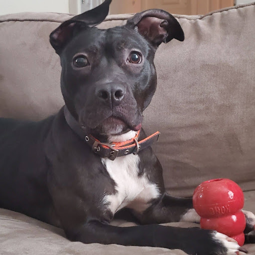 Jessie Haynes Photo 4