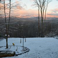 Diane Watts Photo 37