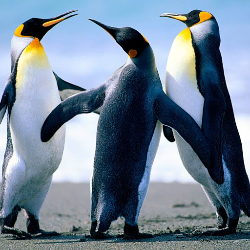 Jessie Martin Photo 45