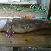 Paul Burns Photo 38 Paul Burns Photo 38