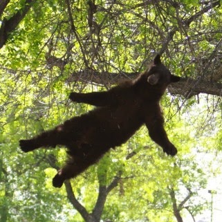 Michele Worthington Photo 22