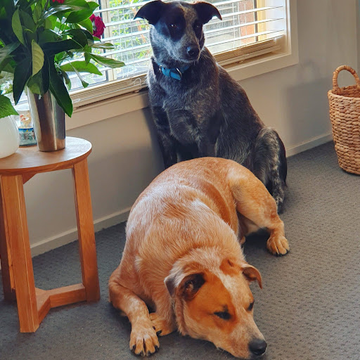 Timothy Anderson Photo 54