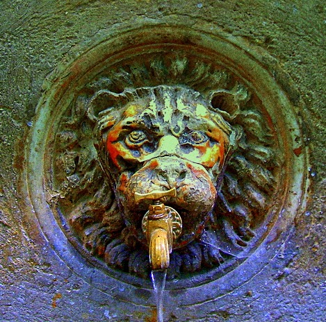 Michelle Jacobson Photo 26