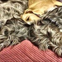 Susan Nilsen Photo 25