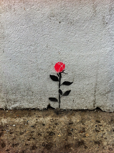 Michelle Sweeney Photo 27