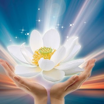 Bing Zhang Photo 13