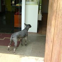 Julio Paredes Photo 24